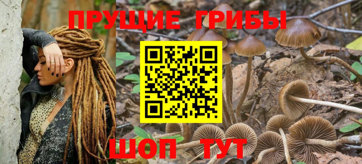 хочу наркоту  Псилоцибиновые грибы MAGIC MUSHROOMS  Вход с VPN  Костомукша 